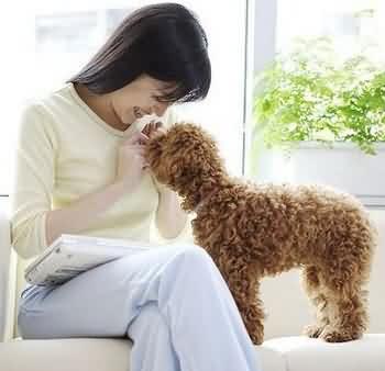传授7妙招 养宠物不需要花大钱