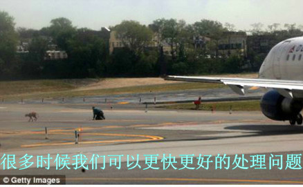 小狗导致英国航班延误[这就叫爱与尊重！]