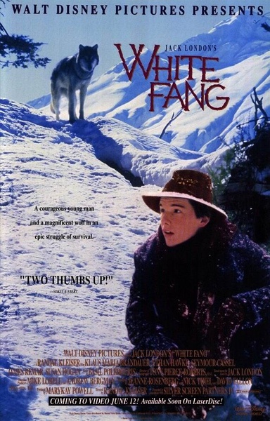 雪地黄金犬 White Fang