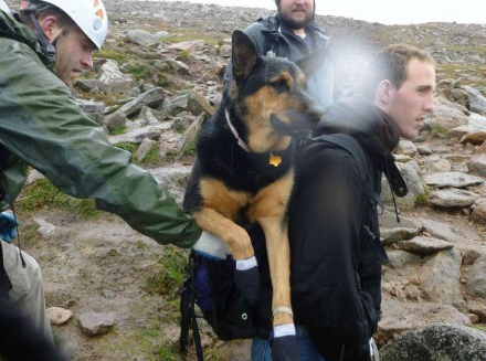 丹佛登山志愿者从3962米山上救出德国牧羊犬