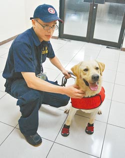 台湾破获重大毒品案 缉毒功臣为拉布拉多犬