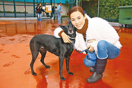 宣萱宣扬领养中年狗 自己爱犬领养时已6岁