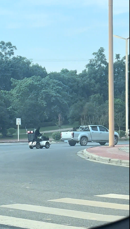 一只拉布拉多独自开车上路,“一边开一边狂叫”,狗主人:练车1个月就能上路;当地交管局回应