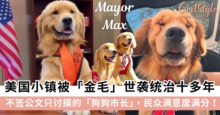 美国小镇被「金毛」世袭统治十多年,不签公文只讨摸的狗狗市长Mayor Max,民众满意度满分!