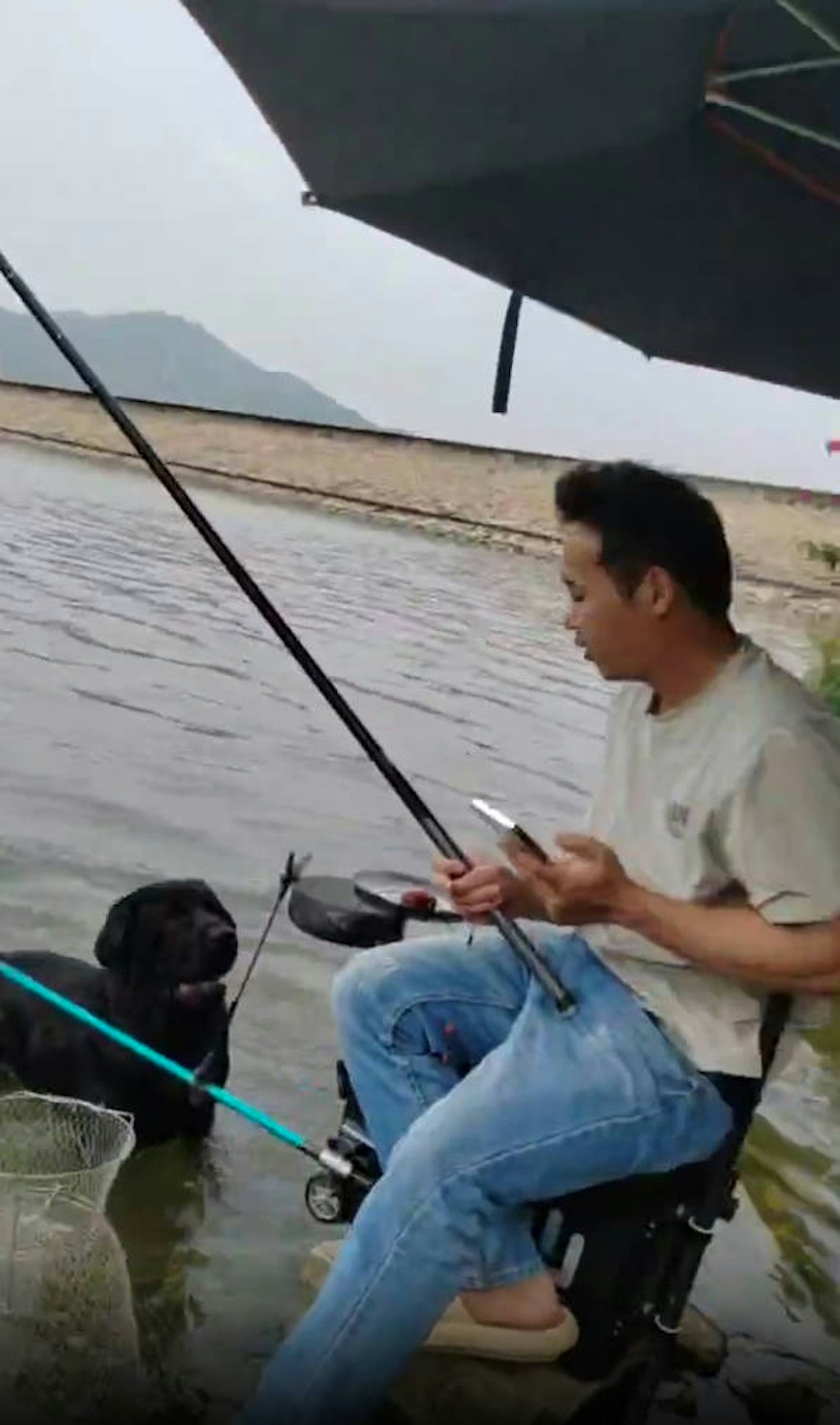 钓鱼遇拉布拉多死盯不放?网友揭爆笑真相:亲戚狗被拐求救认不出