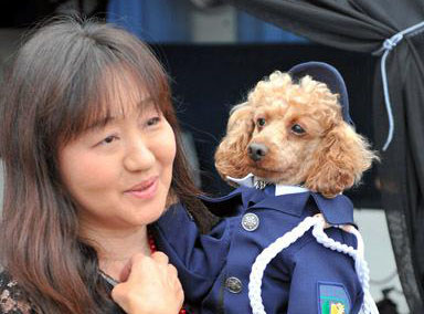 最萌警犬:日本警方邀泰迪犬破案