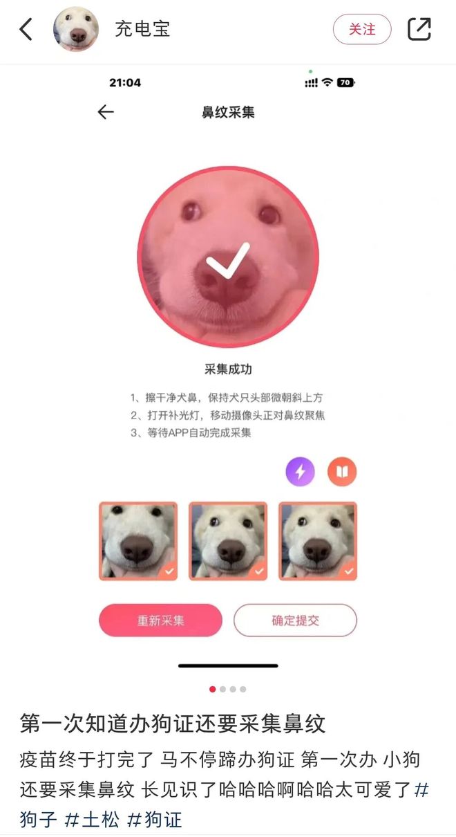 主人第一次给狗狗办狗证,没想到还要采集鼻纹,小狗一脸懵的样子萌化了……网友看完直呼想去当审核员!