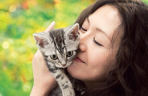 猫咪物语