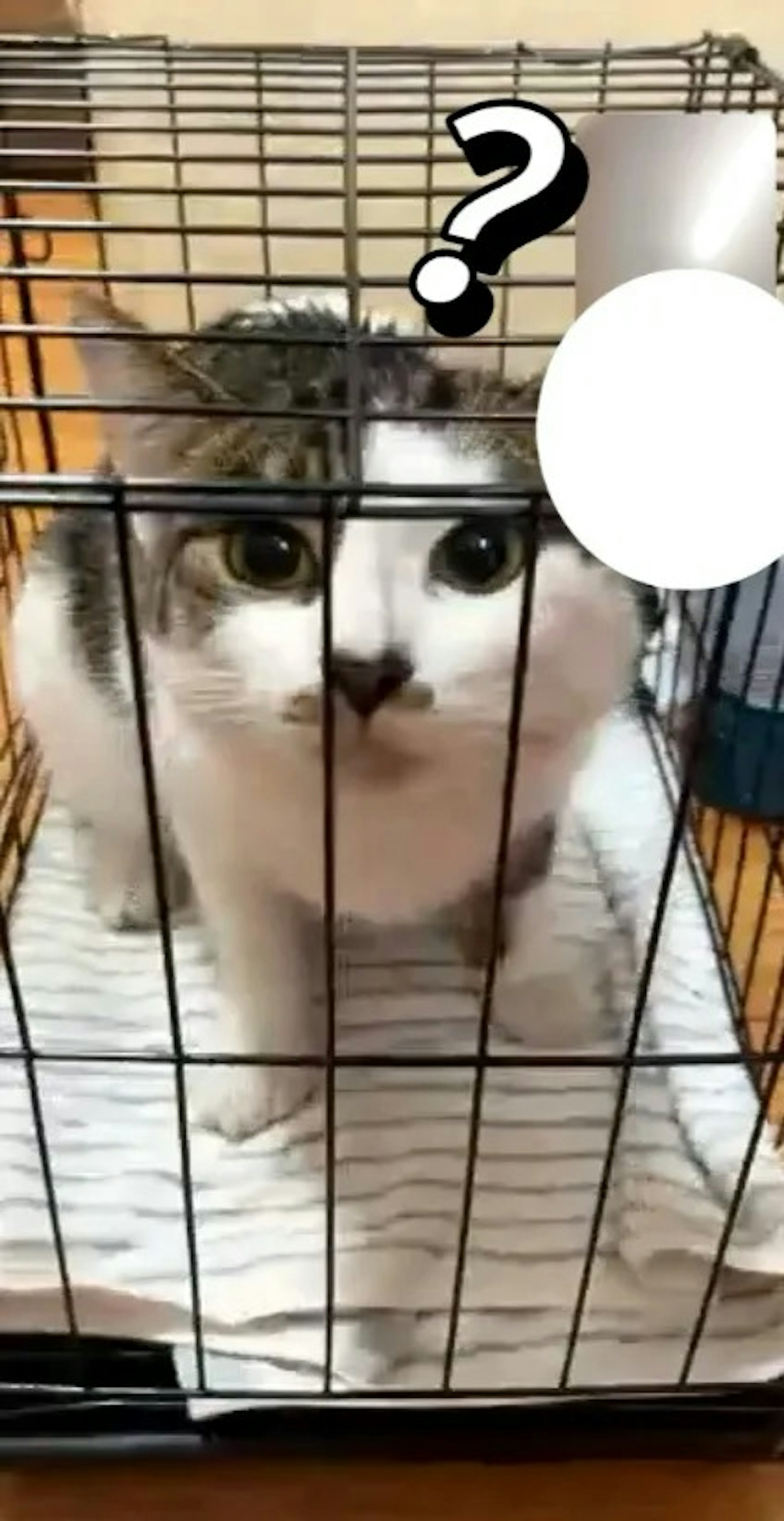 W1ZyE_W1OV5egaRkNvZbtfVRNzkeIv294weiPuMHoj4.jpg