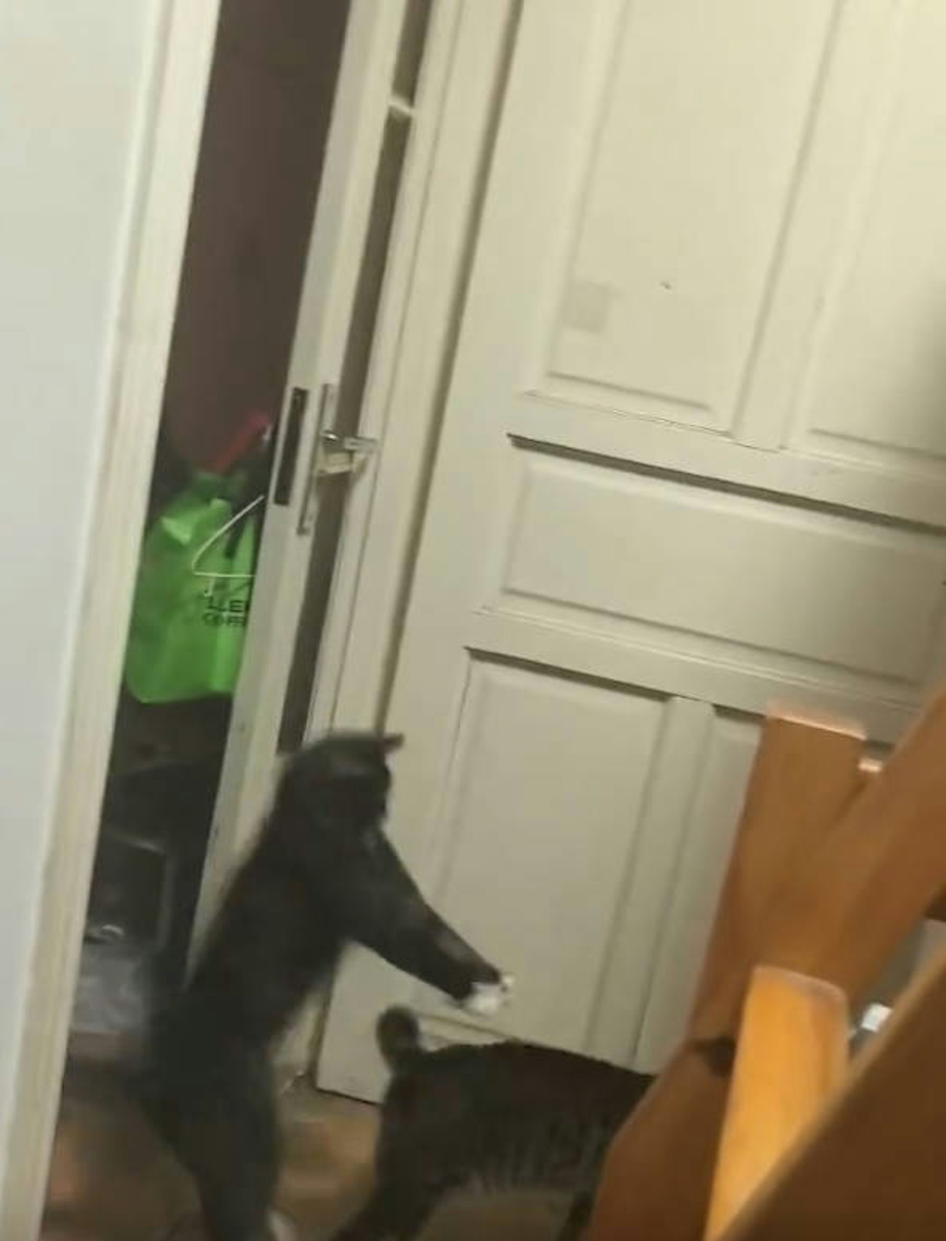 4mkrJ4ctLo8UYKnZpiFQwUw_TgVu5zCFBxxGygccRso.jpg