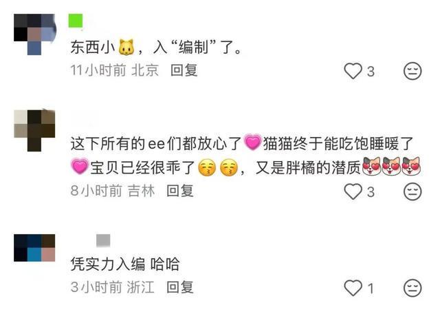 下载 (3).jpg