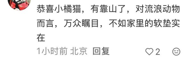 下载 (4).jpg