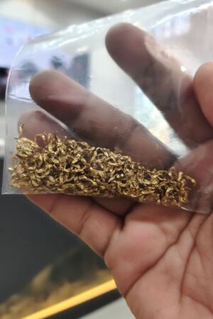 fn260508gold03.jpg