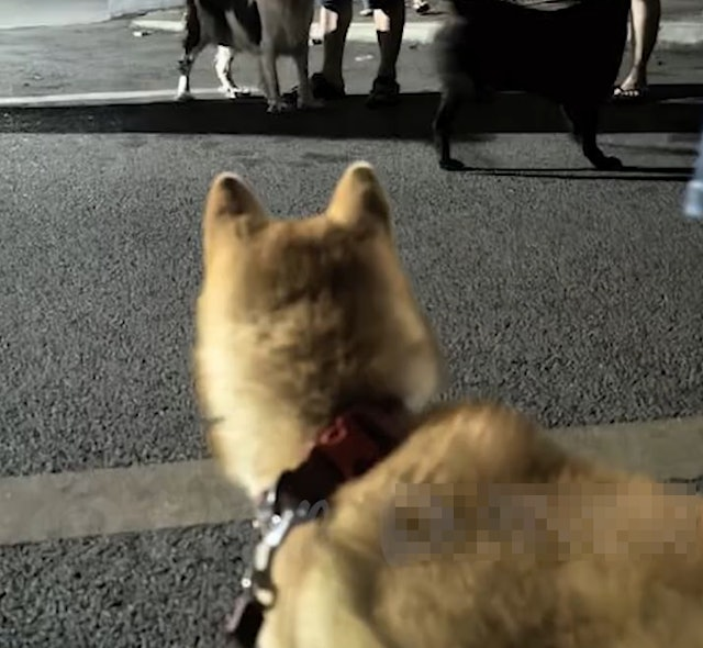 image-83.png