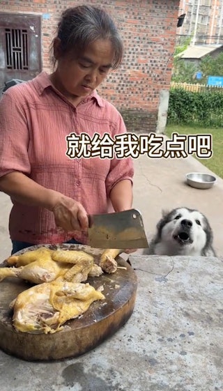 JQkN9rNDkNnEHuY8T1IkNTR1k3vY_mGeS0uIa0tLiGs.jpg