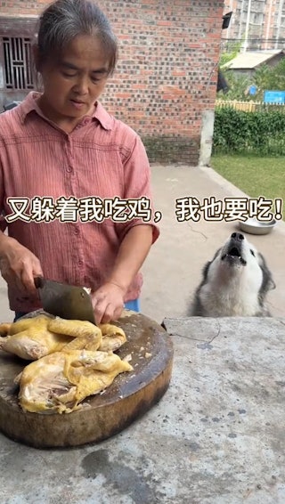 QJYqEJQSl6Gg4ddLQZUgTBr0aeHEfbHW5JdCeuSXQno.jpg