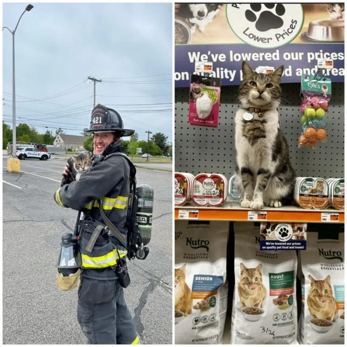 商店丙烷泄漏紧急疏散人群消拯员折返救猫顺手抢救面团.webp