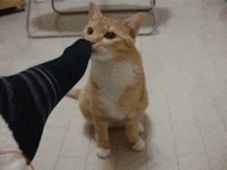 2R3eUS4HvxpTzMqooRdEmlUnVtJ9OQh7VsnY_1bJ2P8.jpg