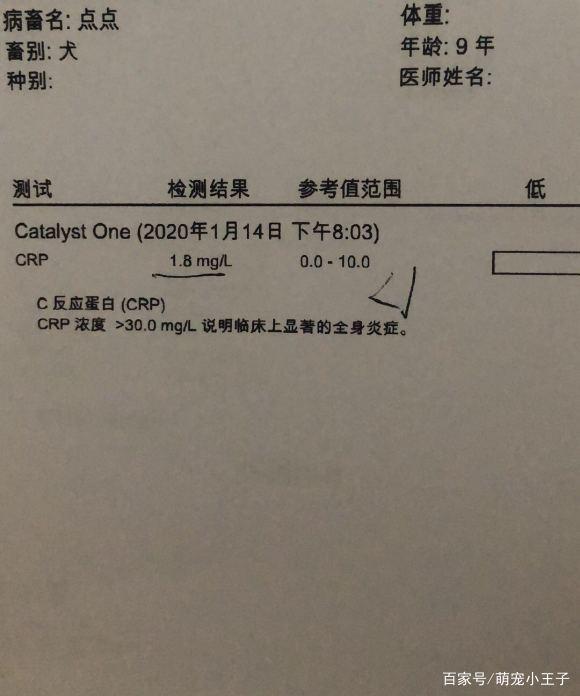 aa64034f78f0f7360ebdac135d2b9911eac413e3.jpeg