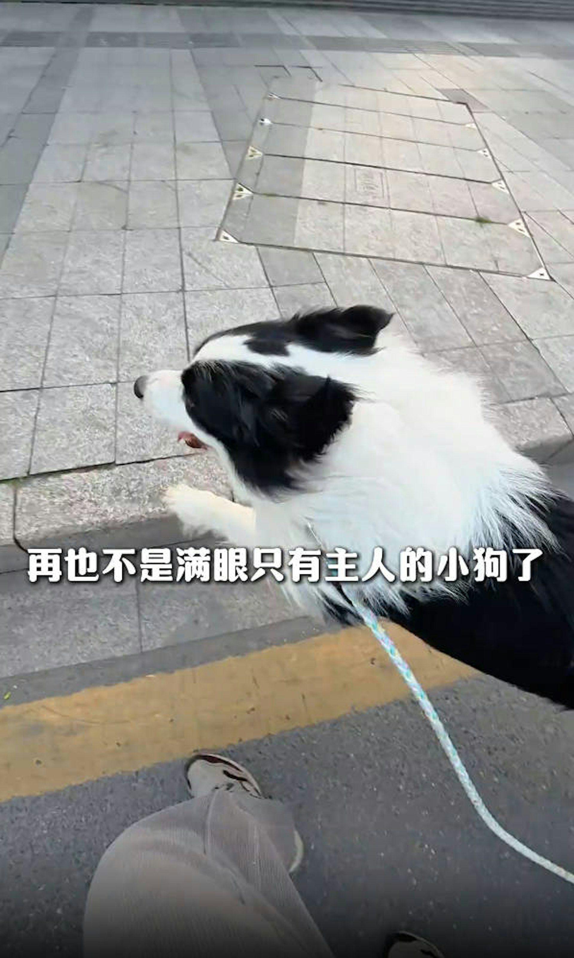 MDvm5YiC7cmXd_czDPm7DxtDaJEtQps8gSZ3F4Emdxc.jpg