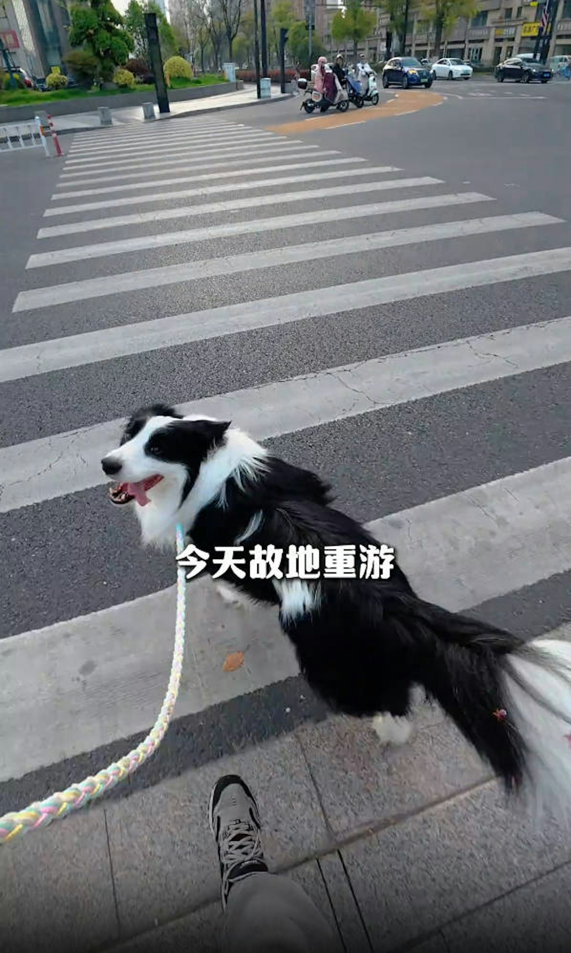 SMcH2cQ5SeGAuiMx5eJDKp5kkAYE_2C3Z9lWKWfZVik.jpg