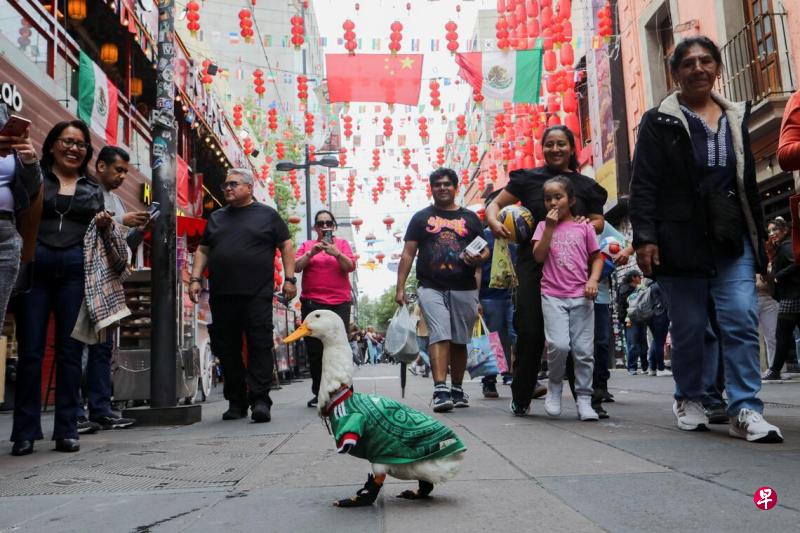 2026-06-17T022054Z1354420921RC23VLA7AL0ORTRMADP3SOCCER-WORLDCUP-MEXICO-DUCK.jpg