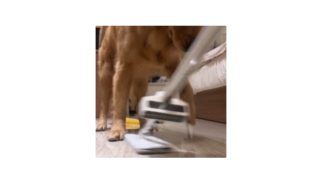 adc206c7ec4d01154151d28c76955e5b.gif