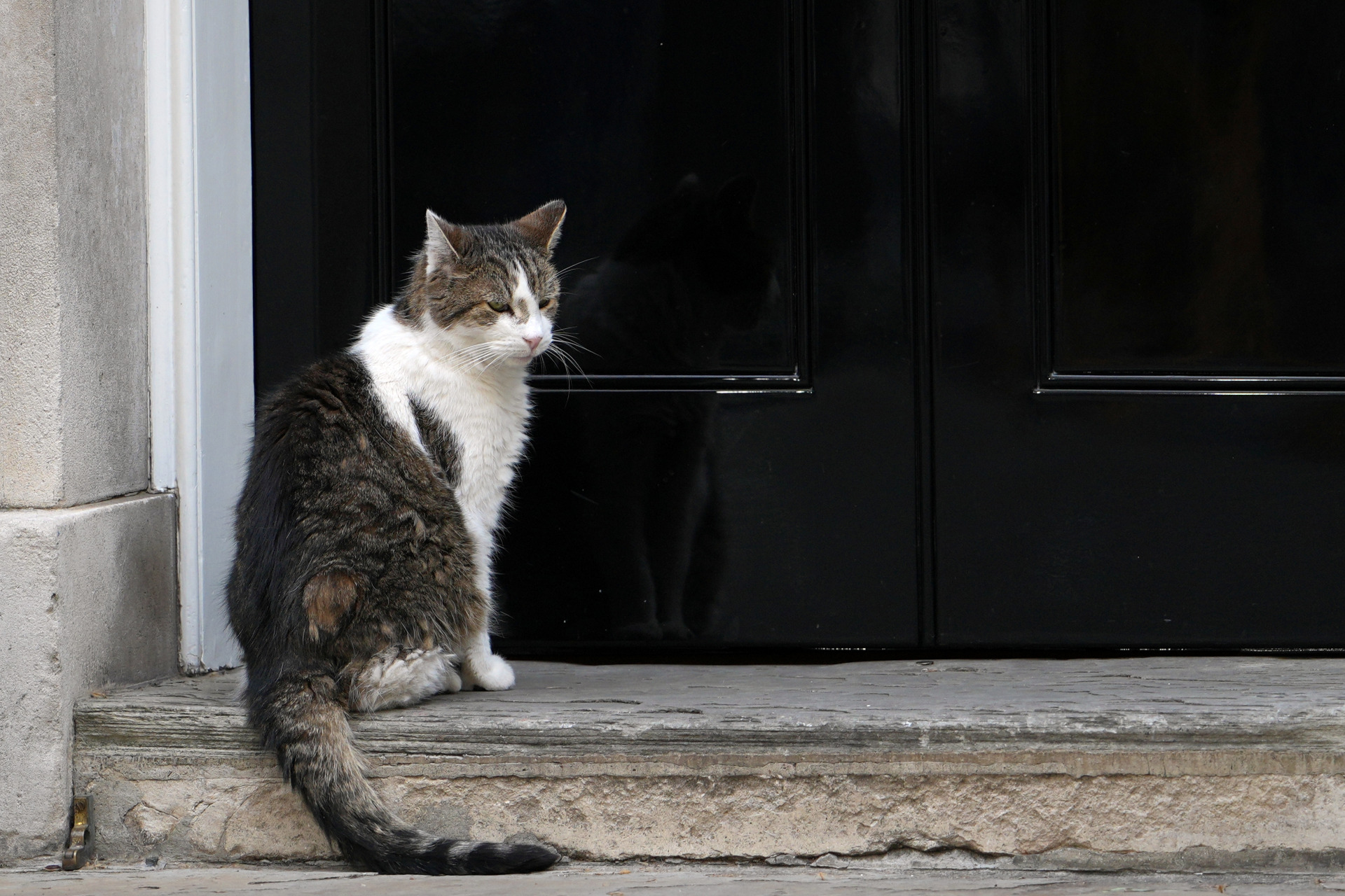 Britain_Politics_32371-838a8.jpg