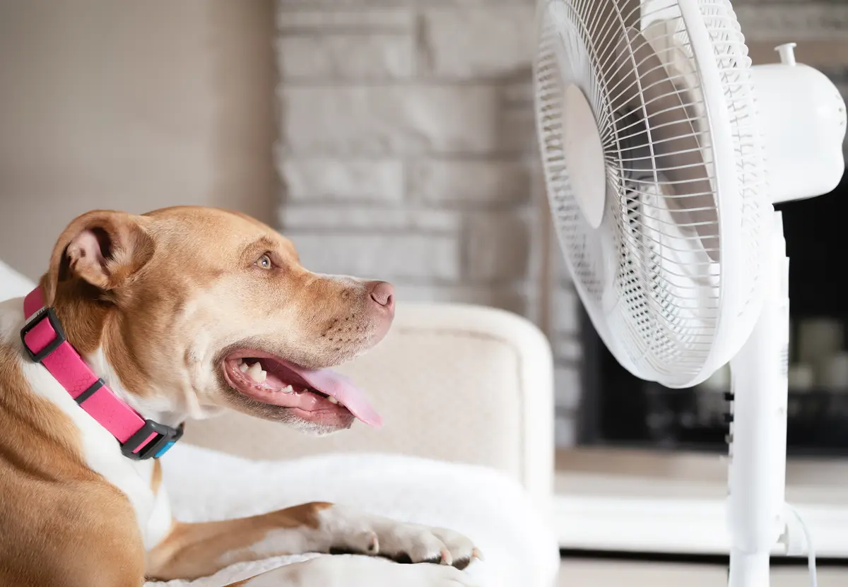 id14797120-shutterstock_2500412035.webp