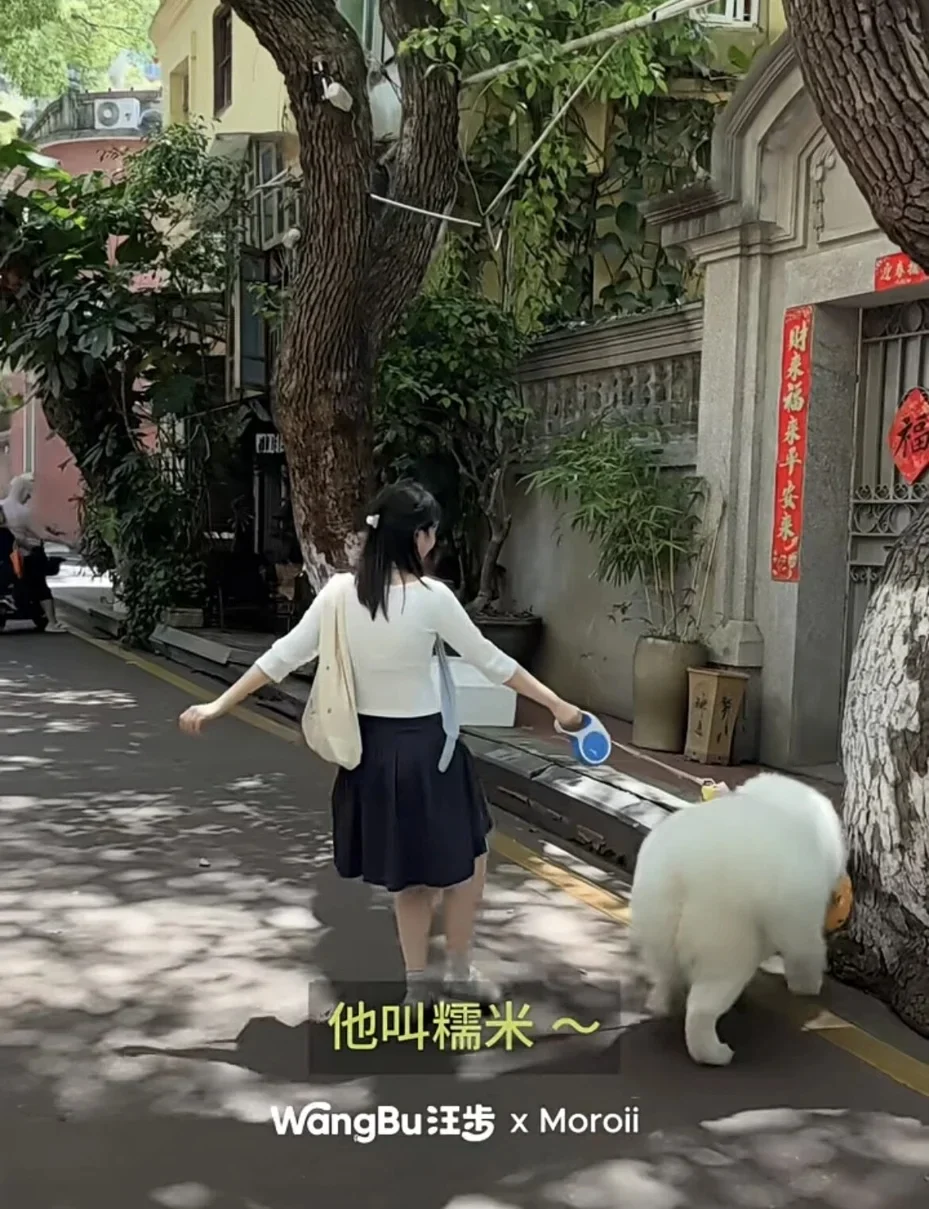 image-24.webp