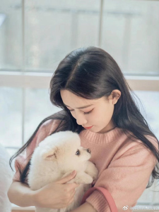 孟子义的爱犬巧克力是什么品种，平时有多粘人？
