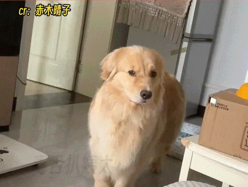 2026_0713_c07c6525g00ti3vol00fxd000dz00ajp.gif