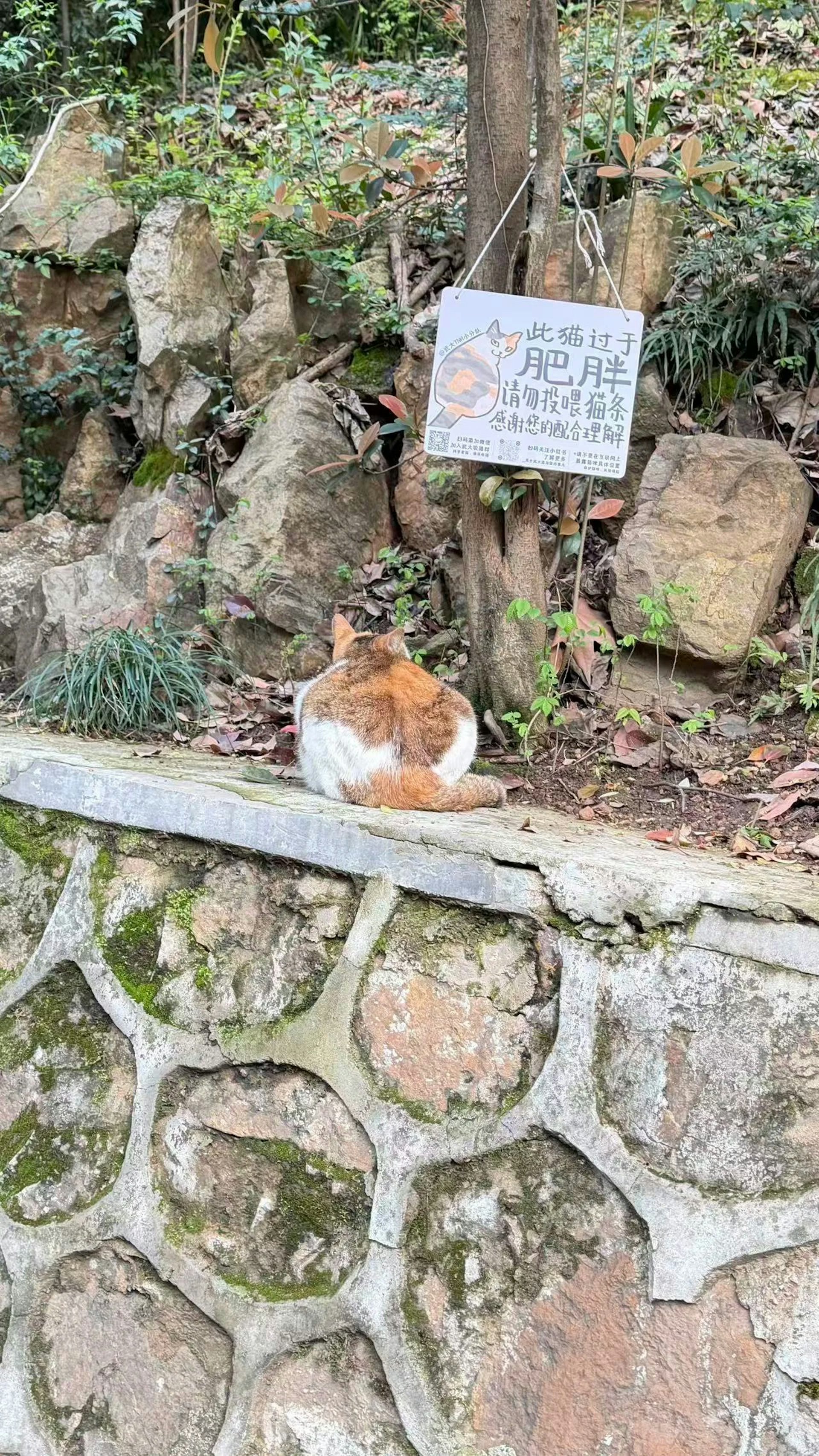 BvhpZPFKYCxGy0BRmdXJNWGhz6EsIuZgEpYg7xKWIO8.jpg