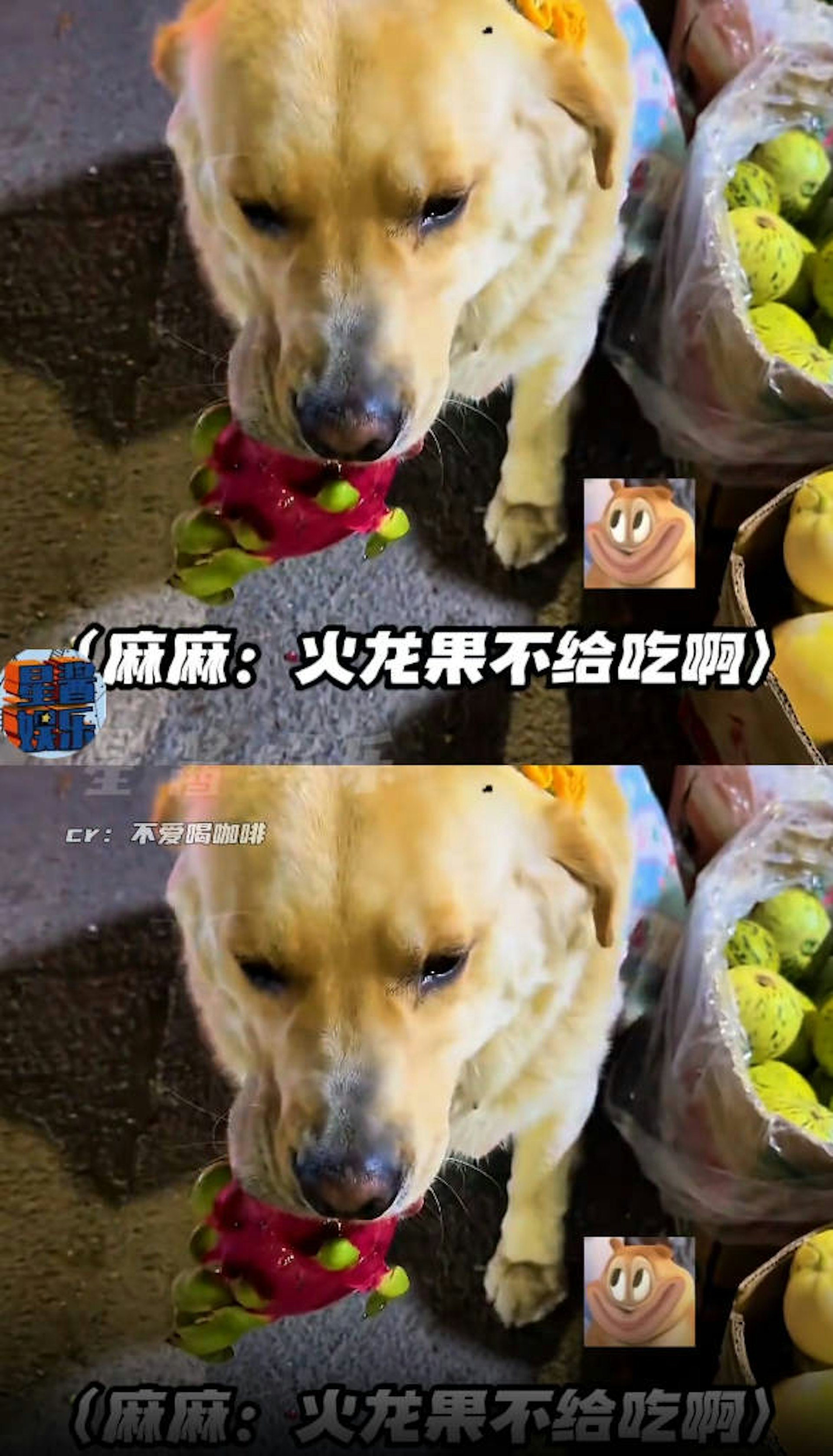 _wsSidbWBM_nW0wvg1fimcvYqyGLWdDcS98QtEvfELQ.jpg