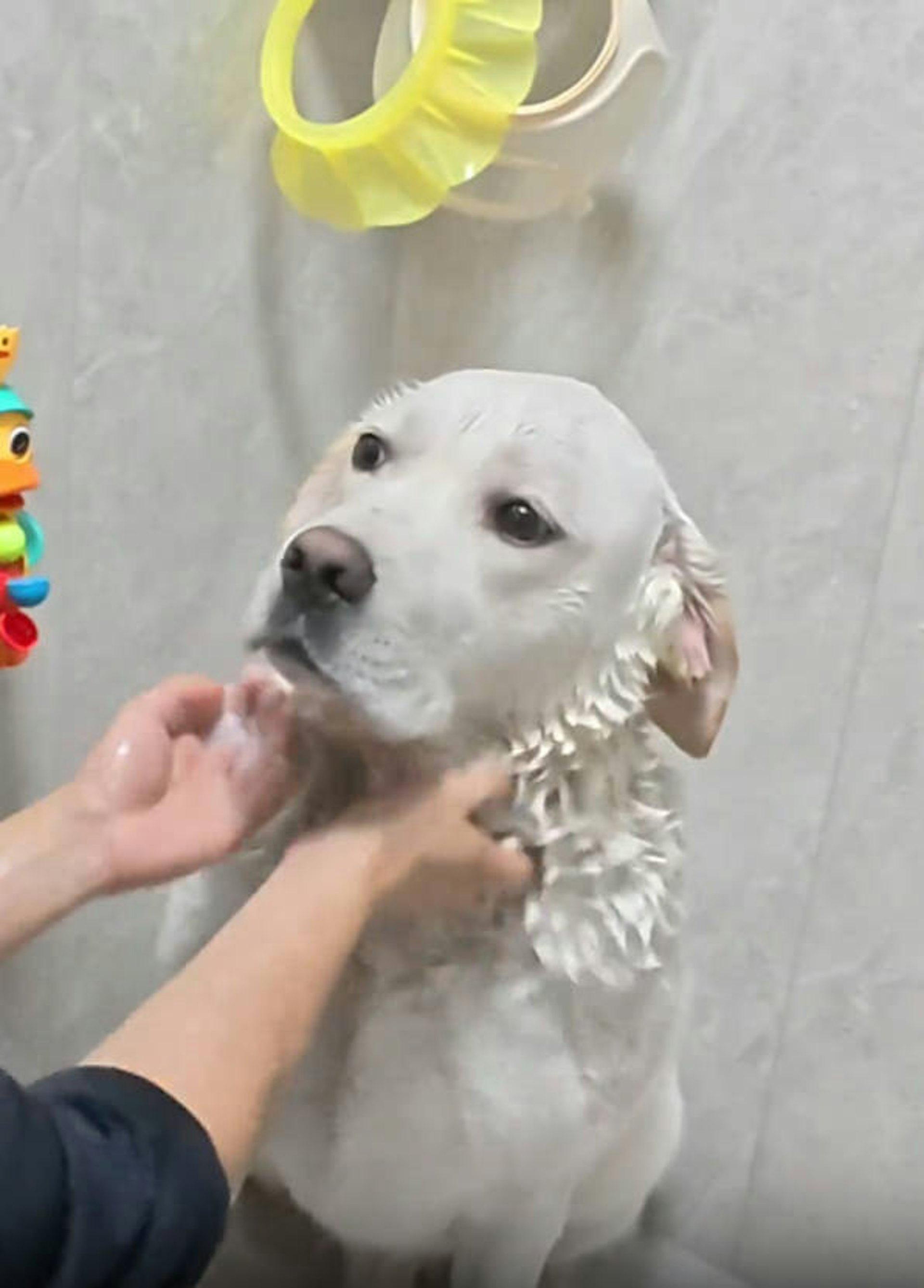 osKCiaVIuSFoEokXi7lO21EbJXmqfvdBDNgXCgzYFwo.jpg